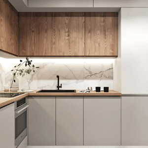 Modular Kitchen Latest